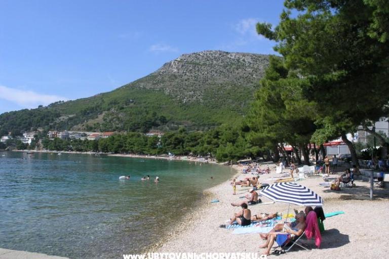 Pension Martina – photo 9