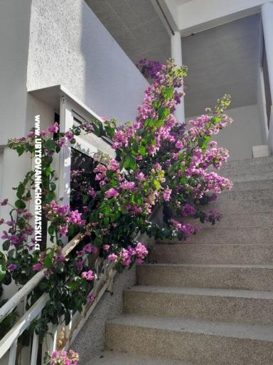 Rooms Katja Gradac center – photo 18
