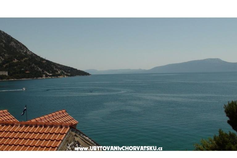 Vila Filipovic – photo 12
