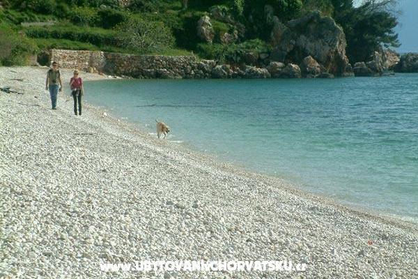 Vila Shutic Gradac – photo 12