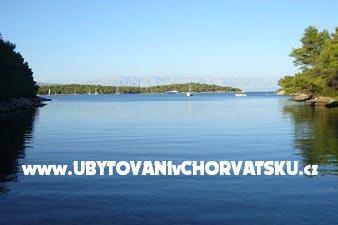 Apartments Brkan – photo 13