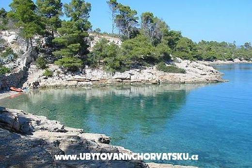 Apartments Brkan – photo 15