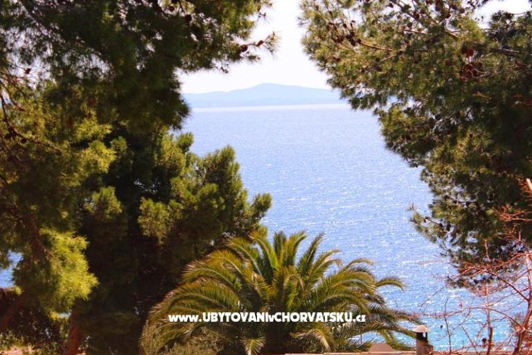 Apartments Floris Ivan Dolac – photo 10