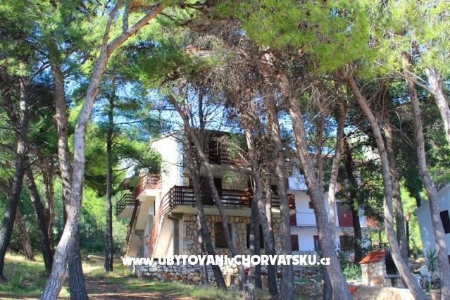 Apartments Floris Ivan Dolac – photo 2