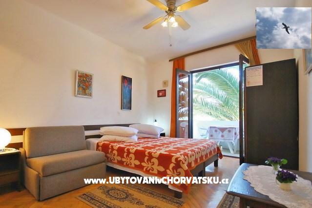 Apartments Grgicevic – photo 14