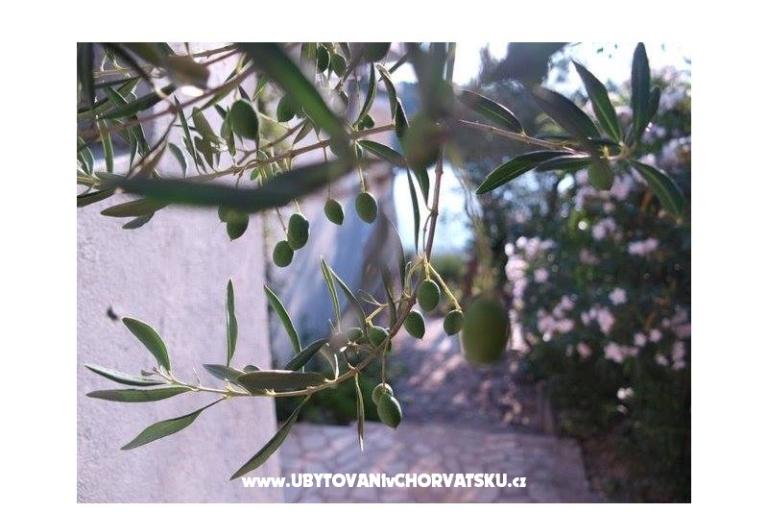 Apartments Stipišić – photo 6