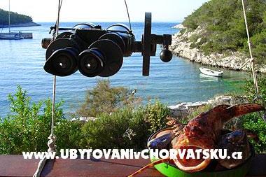 Apartment Stiniva – photo 2
