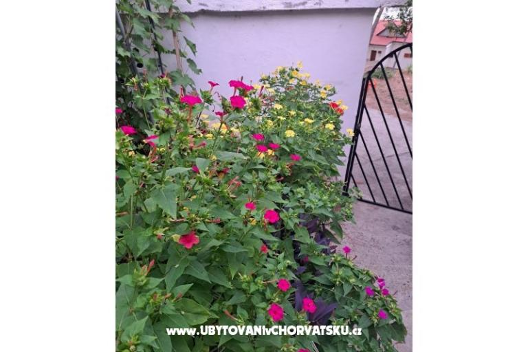 Apartments Bogović – photo 42