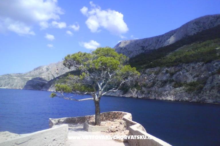 Apartments Arpina  – photo 20