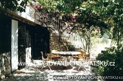 Apartments Bougainvillea – photo 2