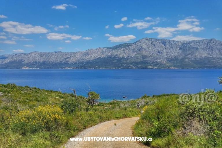 Apartments Raueiser – photo 13