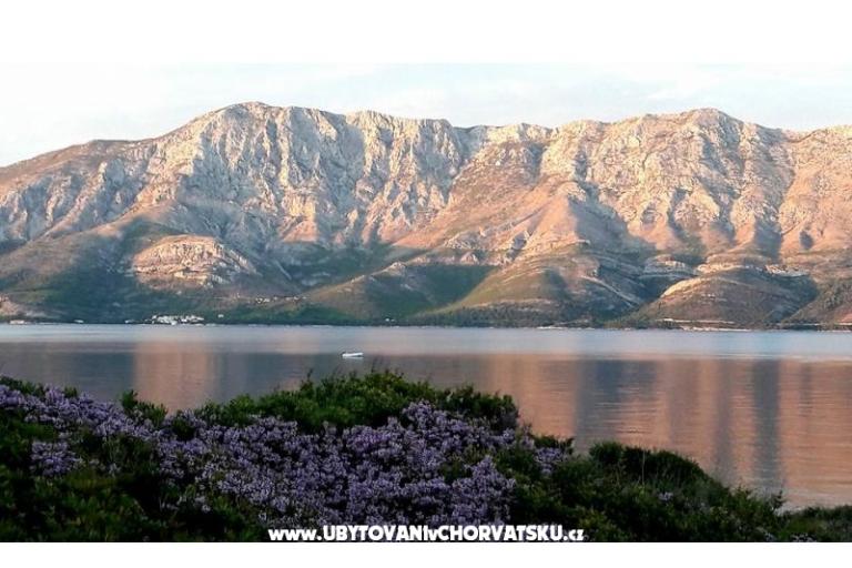 Apartments Raueiser – photo 15