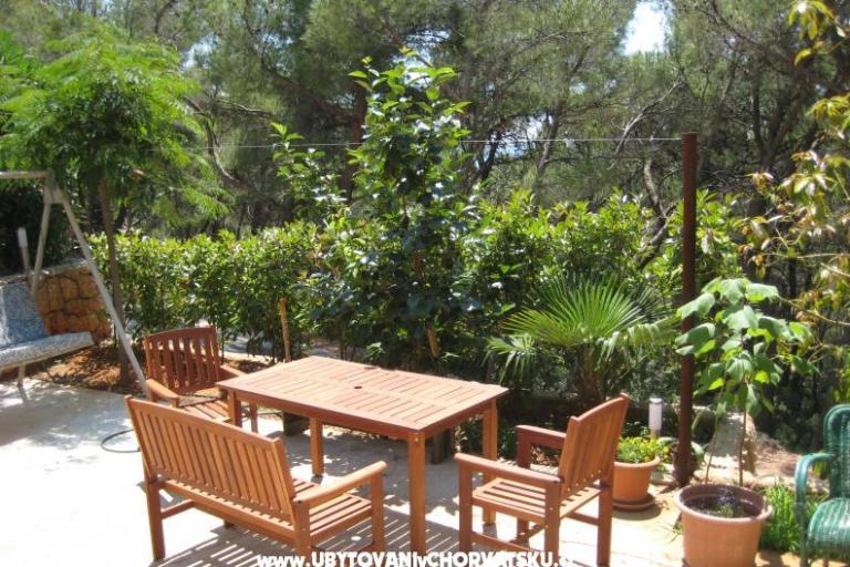 Apartments Villa Ypsilon – photo 2