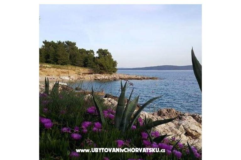 Sea View Adriatic Blu – photo 15