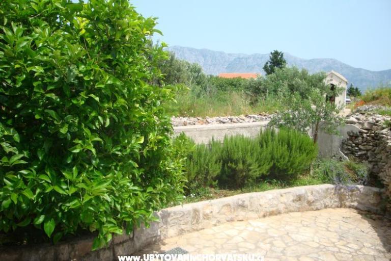House Jadranka – photo 14