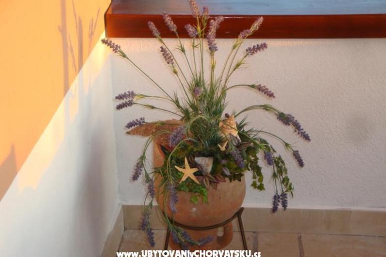 House Jadranka – photo 7