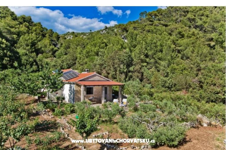 House Patrizia – photo 13