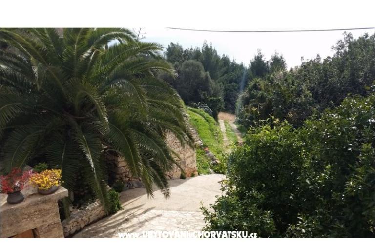 Vacation house Rubinić – photo 4