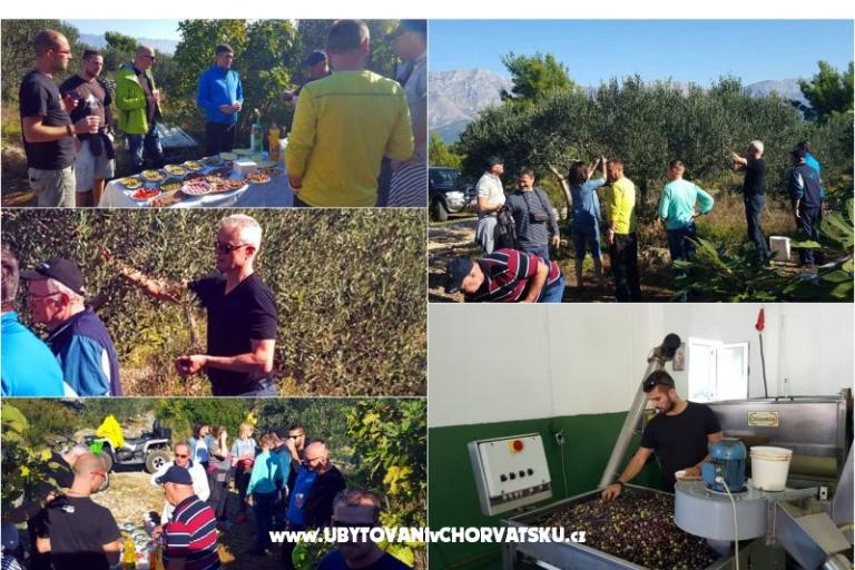 Jadranka Franičević – photo 18