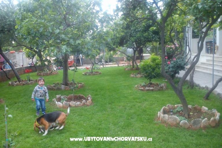 Jadranka Franičević – photo 2