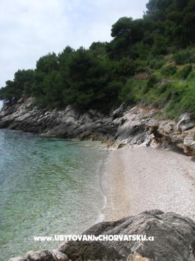 Vila Lila – photo 7