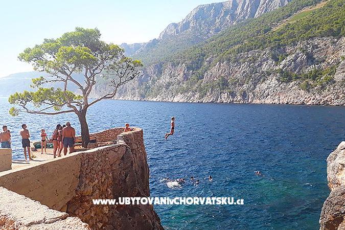 Villa la Lavanda – photo 6