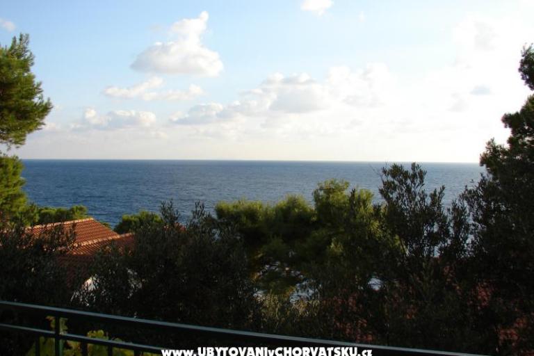 Villa Magnolia – photo 2