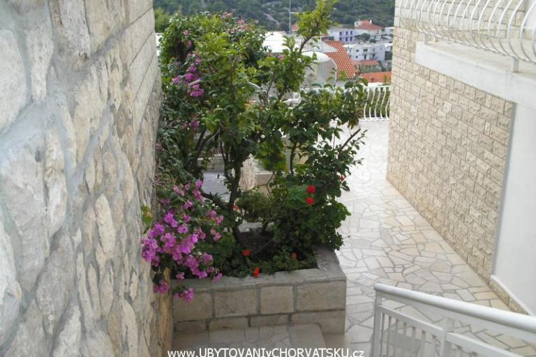 Villa Marija – photo 4