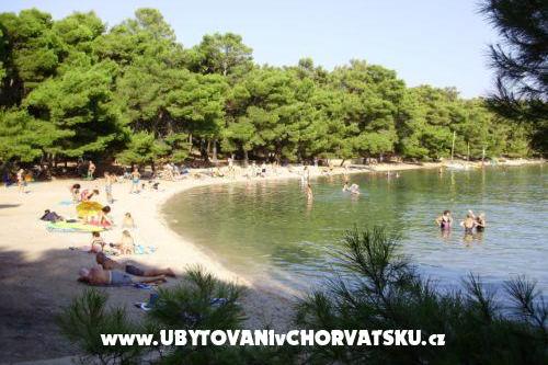 Villa Welcome – photo 8