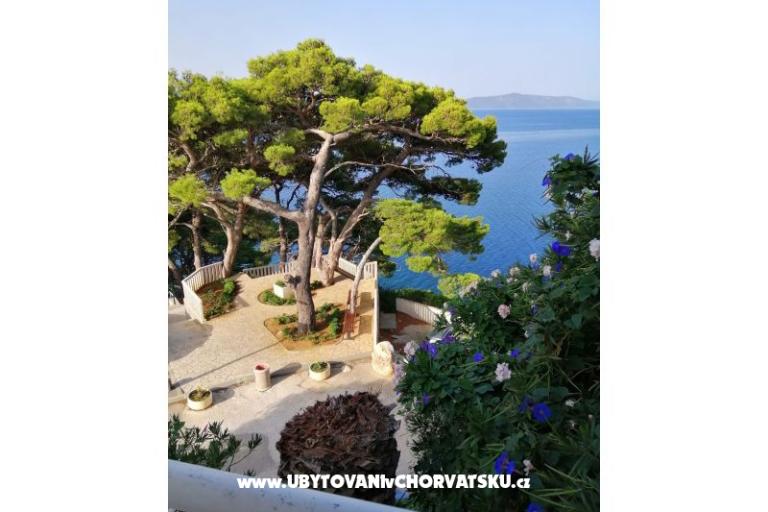 Apartments  Ines – photo 13