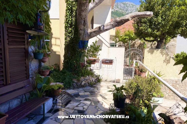 Apartments Andja – photo 7