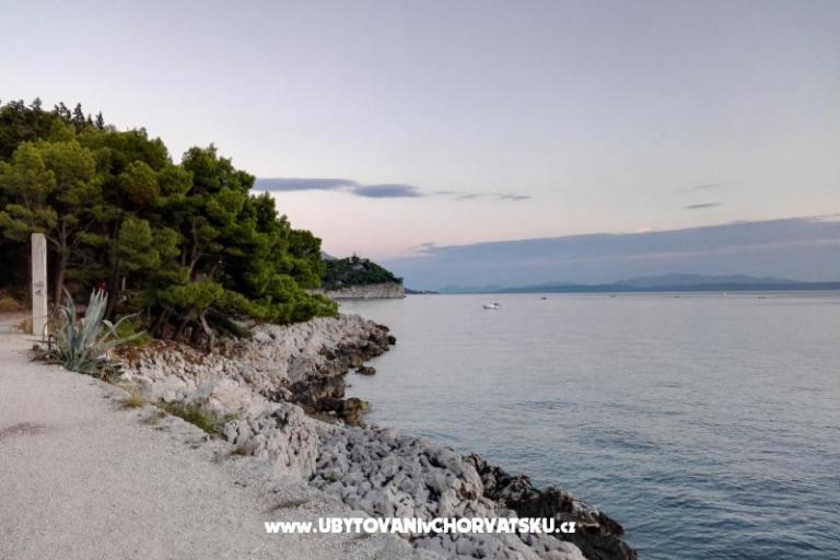 Apartments Ribica 1 – photo 10