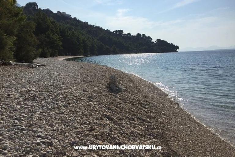 Villa Maslina – photo 8