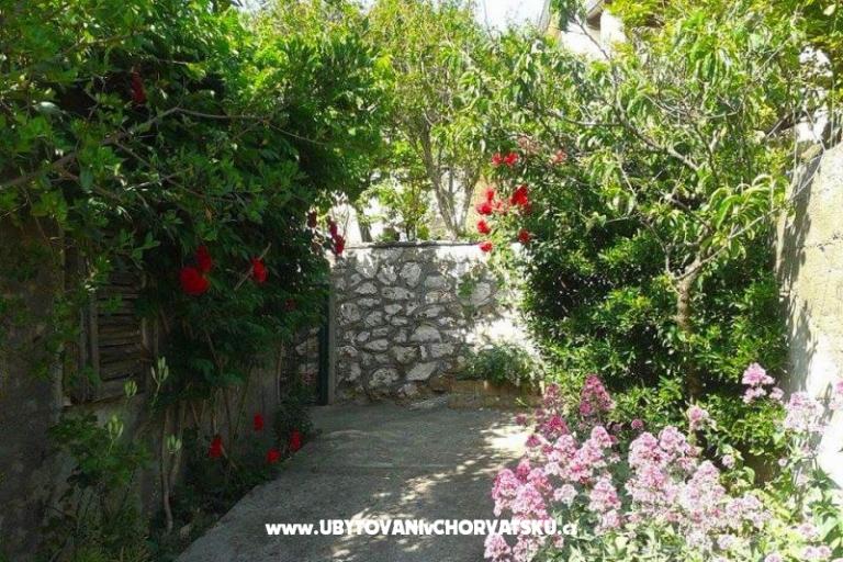 Vacation house - Zapuntel – photo 14