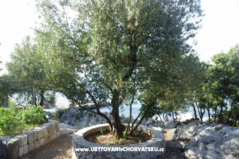Apartment Smiljana – photo 2
