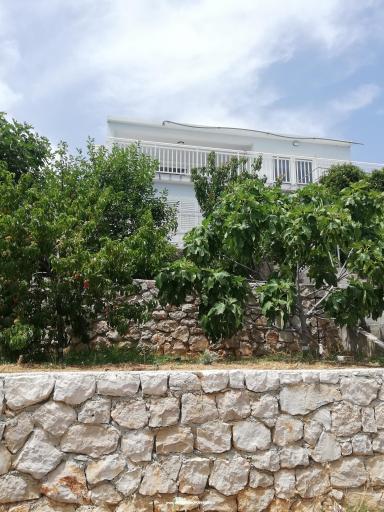 Apartments Kabli1 – photo 2