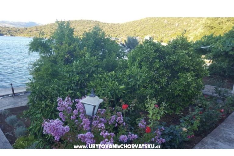 Apartments Ruža – photo 9