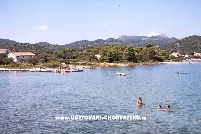 Apartments Tonći – photo 2
