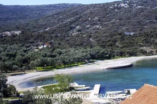 Apartments Mirjana  – photo 3