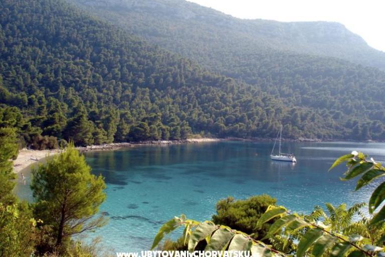 Apartments Trstenik – photo 8