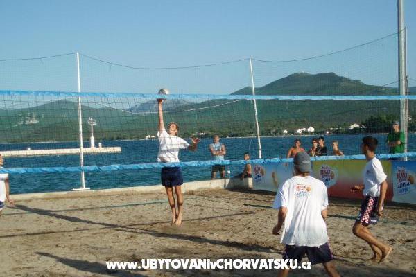 Apartments Leo  – photo 6