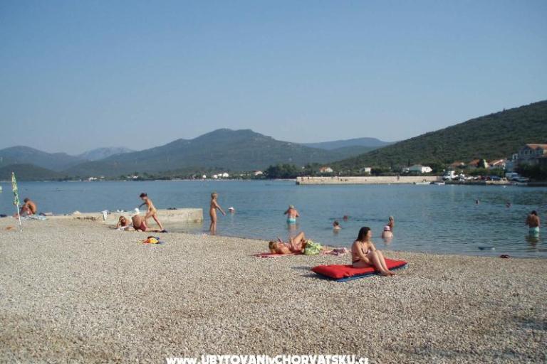 Apartments Leo  – photo 8