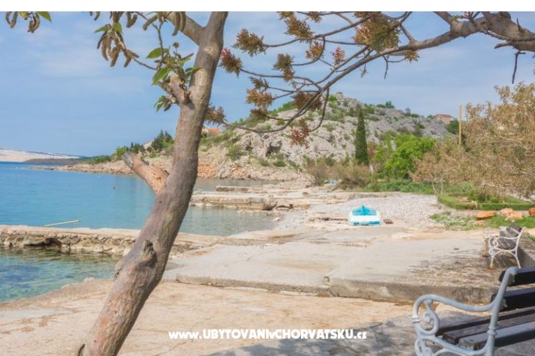 Apartment Tom – photo 18