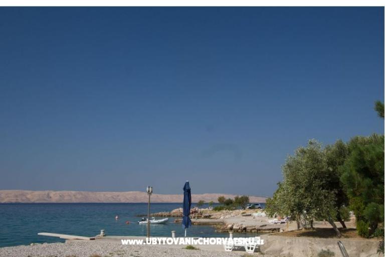 Apartment Camelia – photo 9