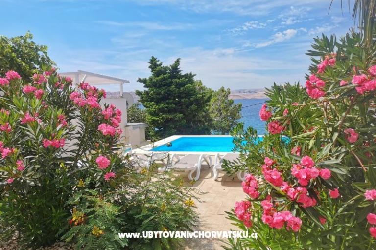 Apartments Anita with Pool – photo 7