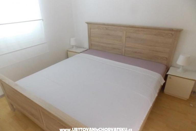 Cesarica Stars – photo 2