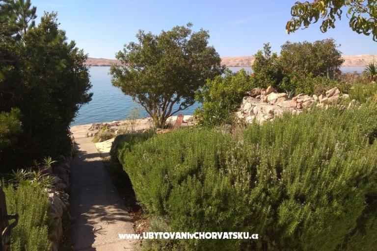 Apartments Ana-Marija – photo 3