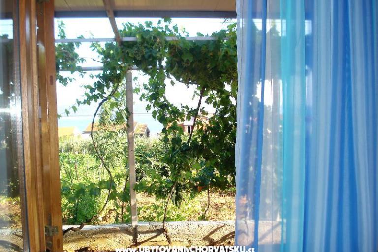 Apartment Palma – photo 14