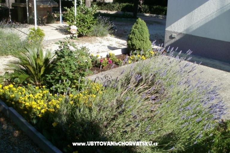 Apartments Grgin – photo 5
