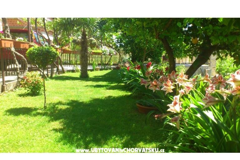 Apartments Duje – photo 12